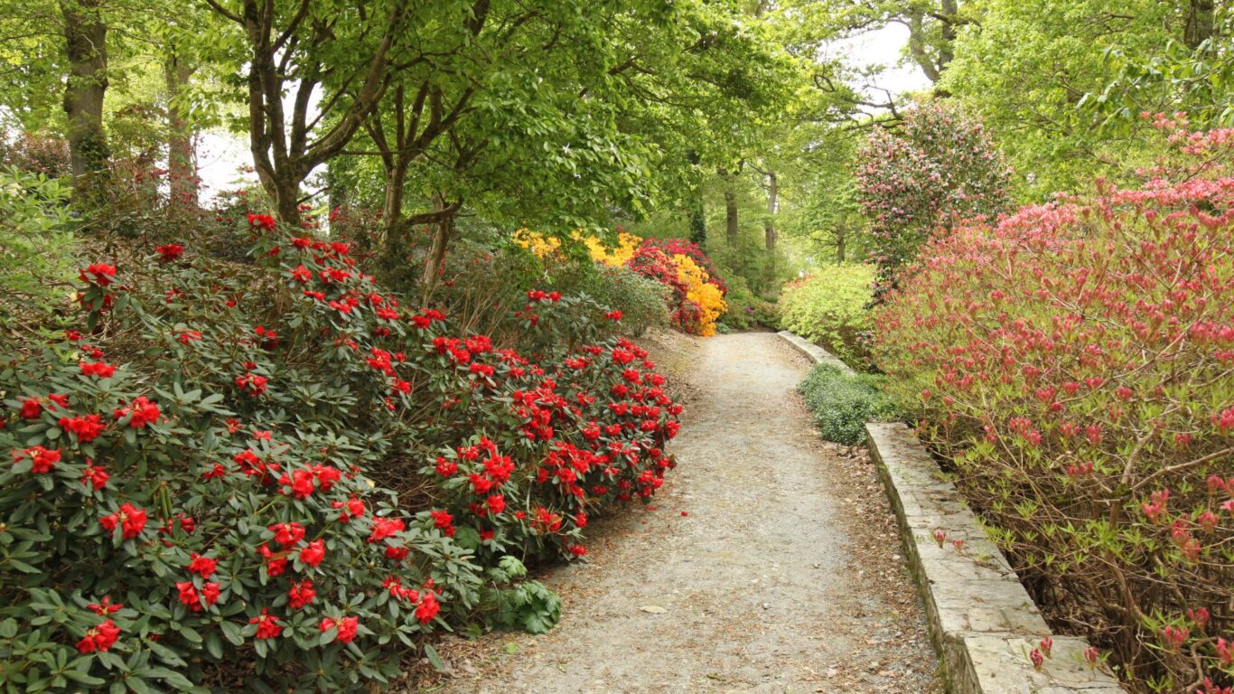 Mount Congreve House and Gardens 3