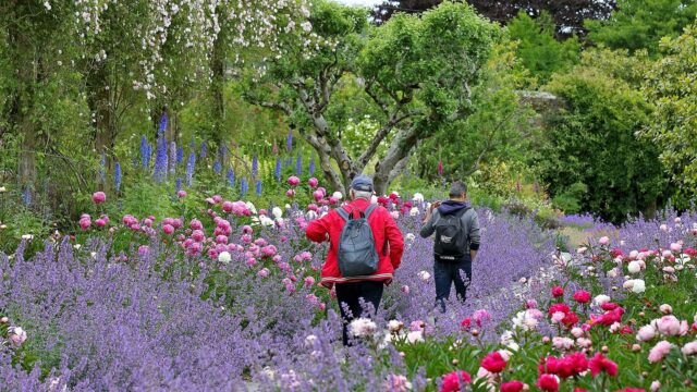 Mount Congreve House and Gardens 8